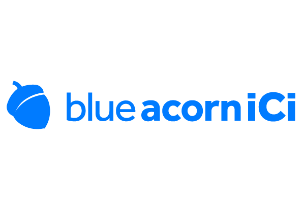 blue acorn support