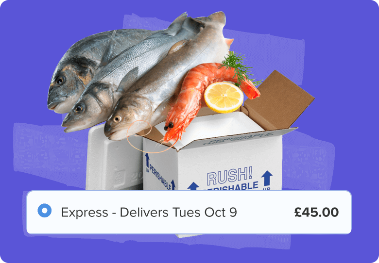 Special Shipping Cases We Solve