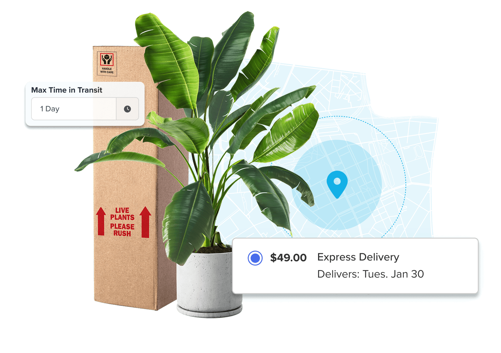 Shipping Live Cargo