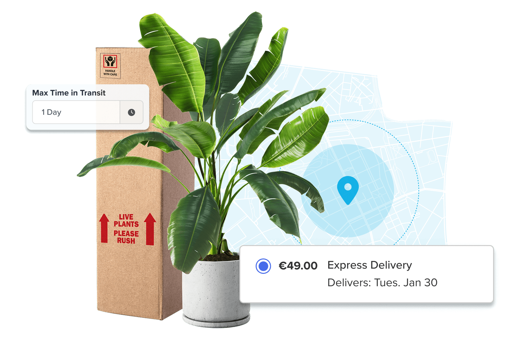 Shipping Live Cargo