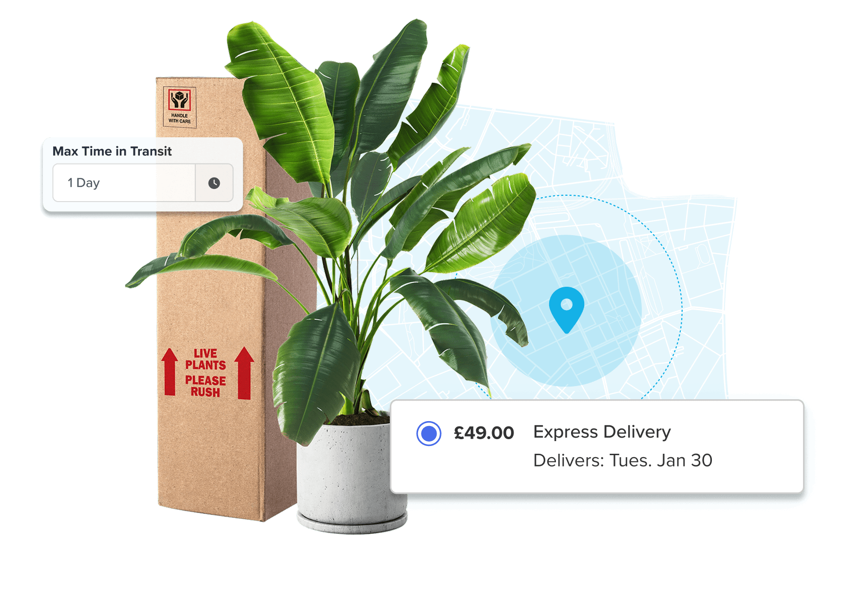 Shipping Live Cargo
