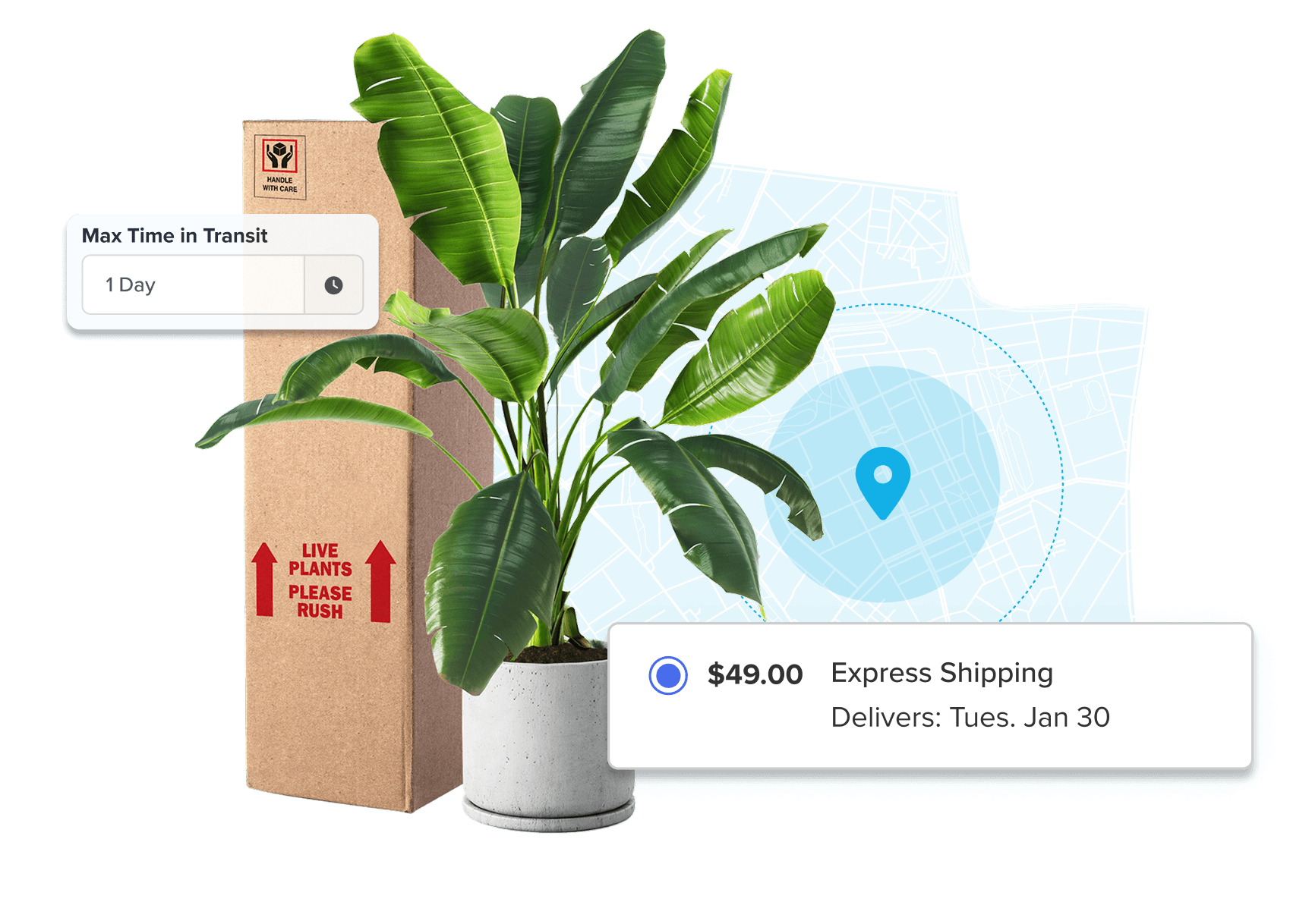 Shipping Live Cargo