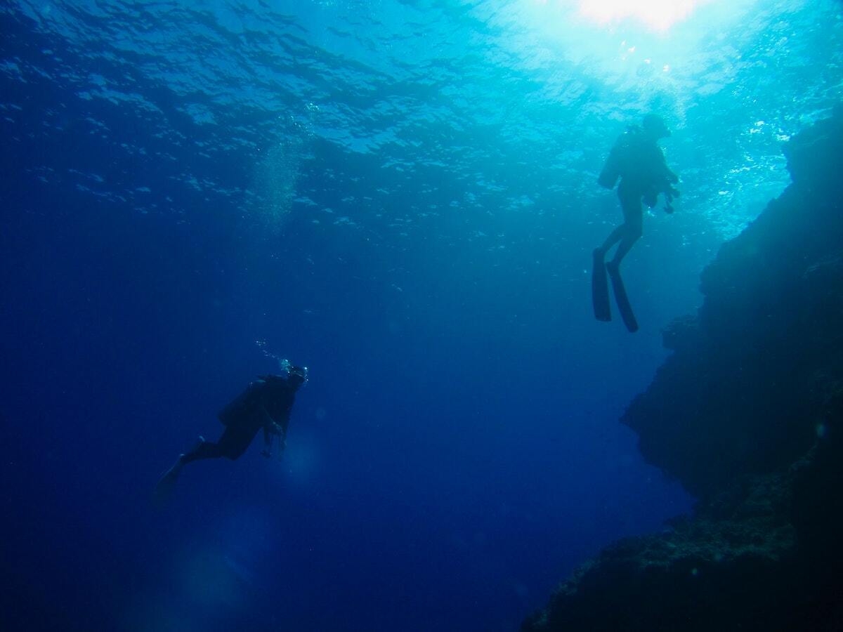 Divers exploring the reef