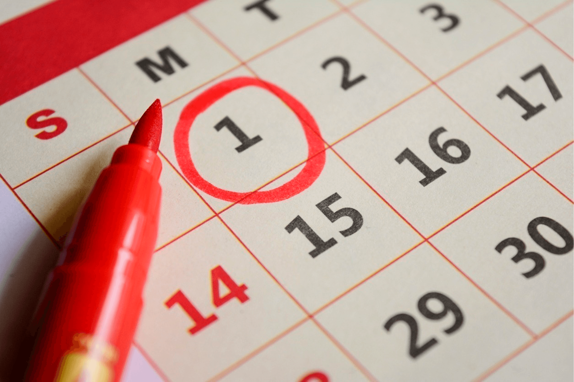 Estimated Delivery Dates at Checkout: How They Save You Time and Money